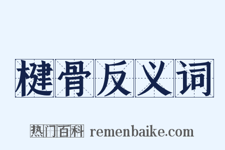 楗骨反义词是什么意思的图片